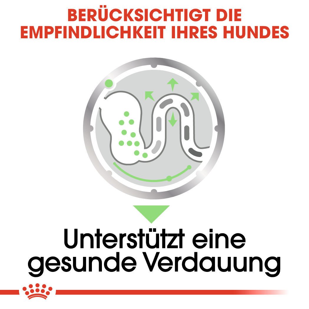 Royal Canin CCN Digestive Care Nassfutter für Hunde mit empfindlicher Verdauung Bild 3