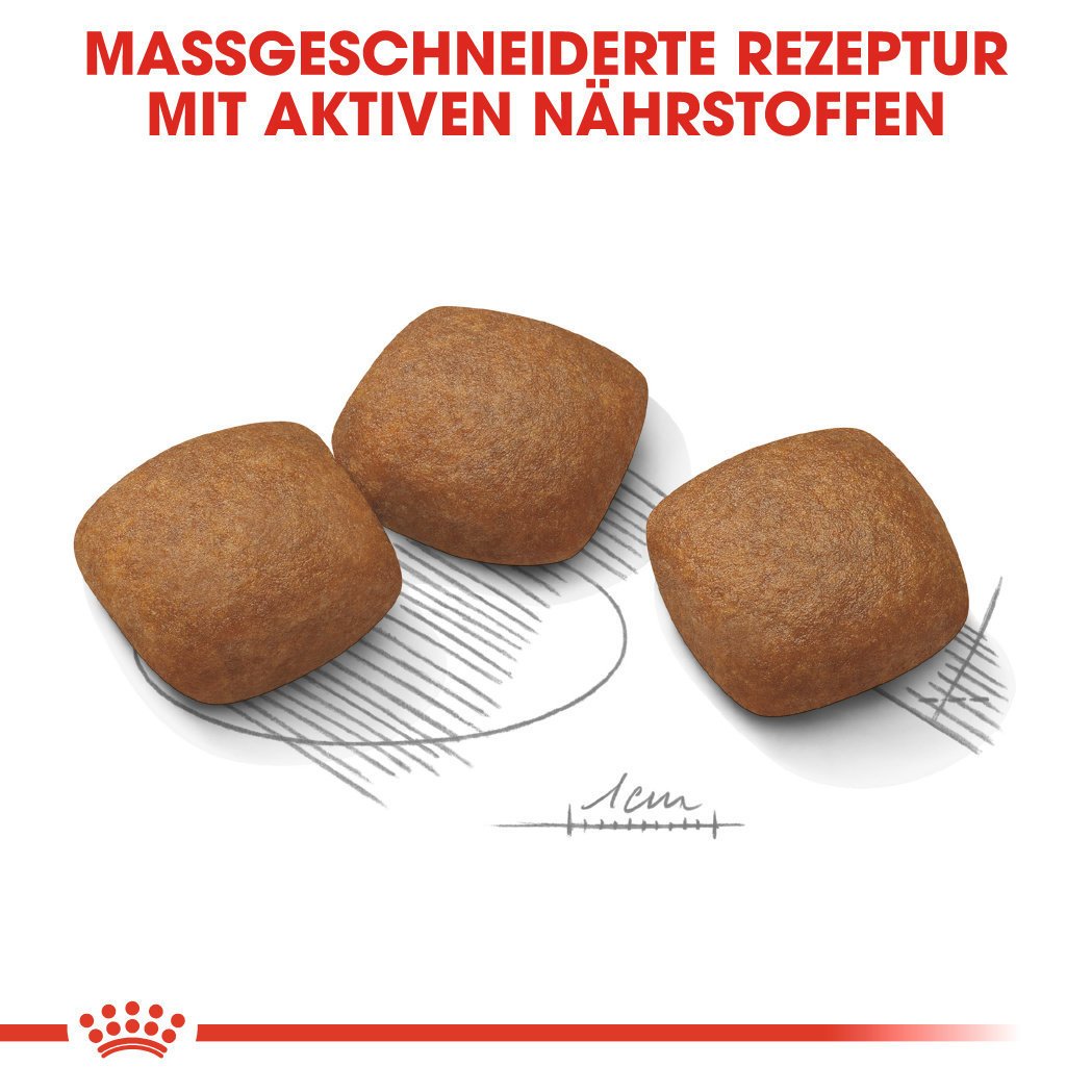 Royal Canin CCN Joint Care Maxi Trockenfutter für große Hunde mit empfindlichen Gelenken Bild 5