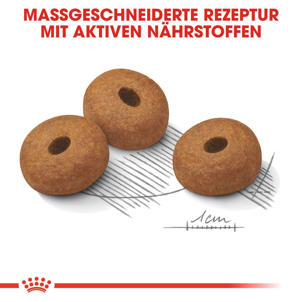 Royal Canin CCN Light Weight Care Maxi Trockenfutter für große Hunde mit Neigung zu Übergewicht Bild 5
