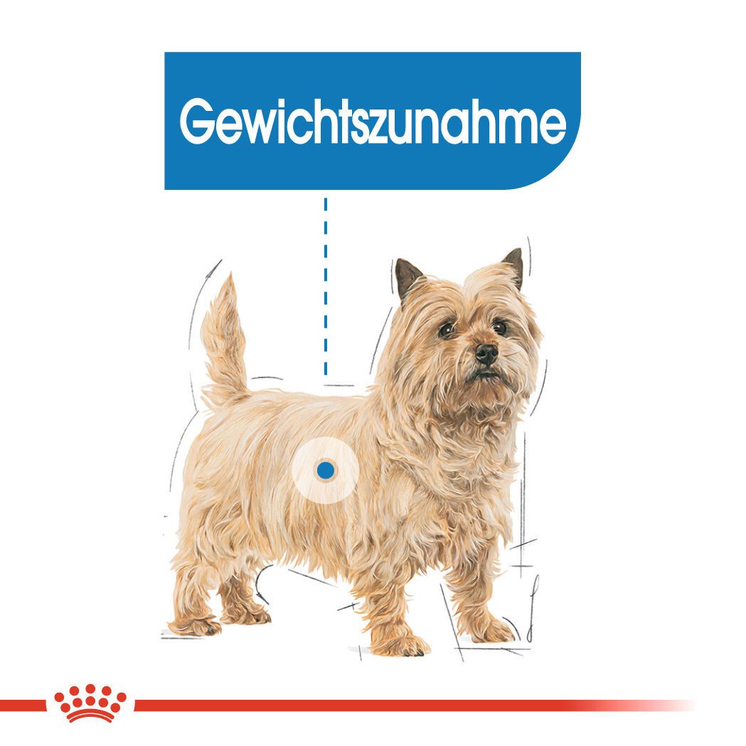 CCN Light Weight Care Mini Trockenfutter für kleine Hunde mit Neigung zu Übergewicht Bild 3