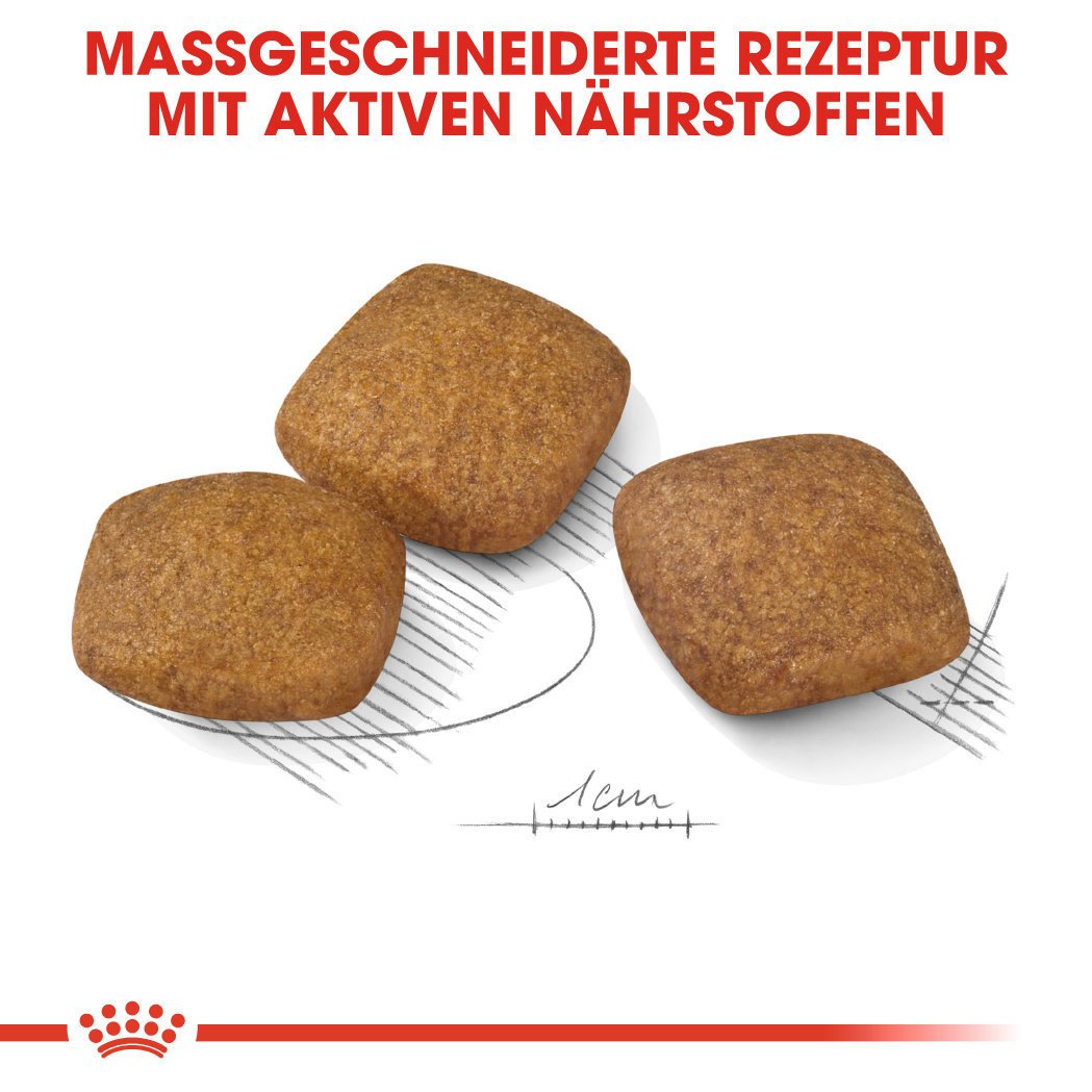 Royal Canin CCN Relax Care Maxi Trockenfutter für große Hunde in unruhigem Umfeld Bild 4