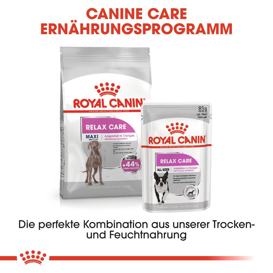 Royal Canin CCN Relax Care Maxi Trockenfutter für große Hunde in unruhigem Umfeld Bild 7