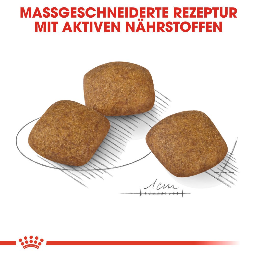 Royal Canin CCN Relax Care Medium Trockenfutter für mittelgroße Hunde in unruhigem Umfeld Bild 4