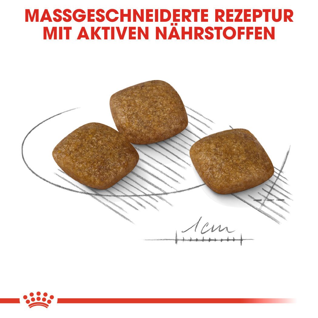 Royal Canin CCN Relax Care Mini Trockenfutter für kleine Hunde in unruhigem Umfeld Bild 5
