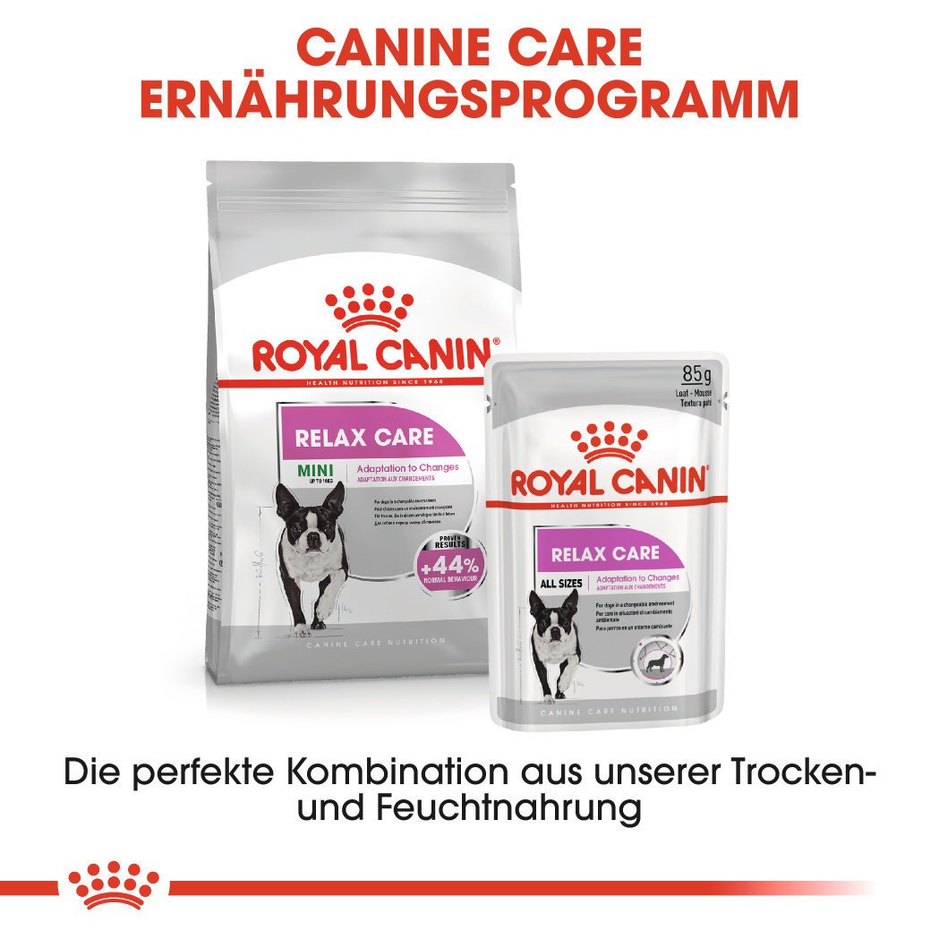 Royal Canin CCN Relax Care Mini Trockenfutter für kleine Hunde in unruhigem Umfeld Bild 7