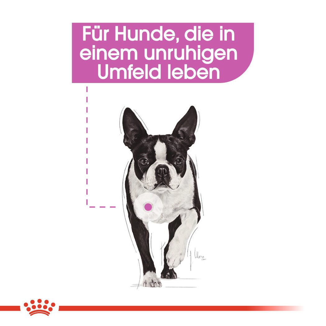 Royal Canin CCN Relax Care Nassfutter für Hunde in unruhigem Umfeld Bild 4