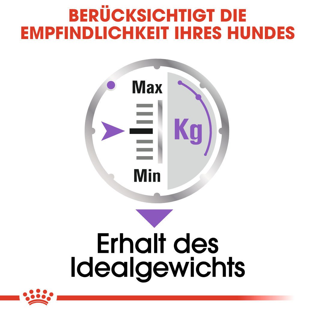 Royal Canin CCN Sterilised Nassfutter für kastrierte Hunde Bild 4