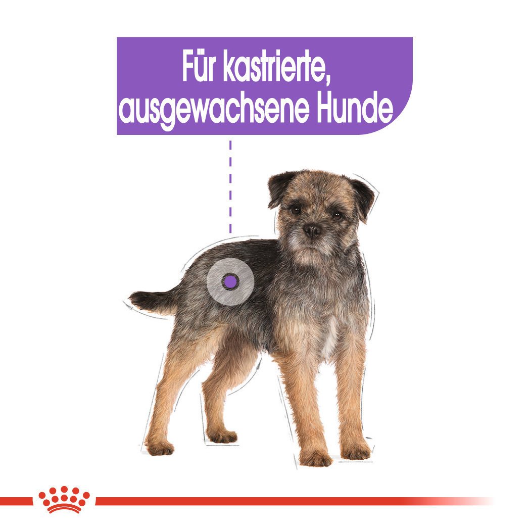 Royal Canin CCN Sterilised Nassfutter für kastrierte Hunde Bild 3