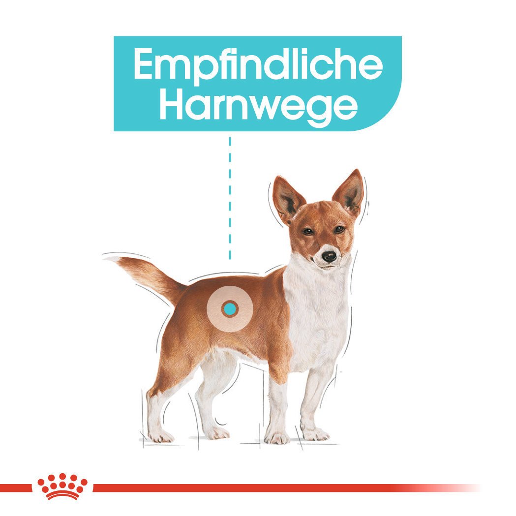 Royal Canin CCN Urinary Care Nassfutter für Hunde mit empfindlichen Harnwegen Bild 5