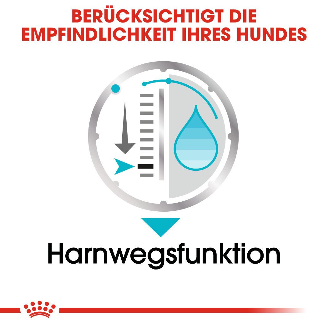 Royal Canin CCN Urinary Care Nassfutter für Hunde mit empfindlichen Harnwegen Bild 3