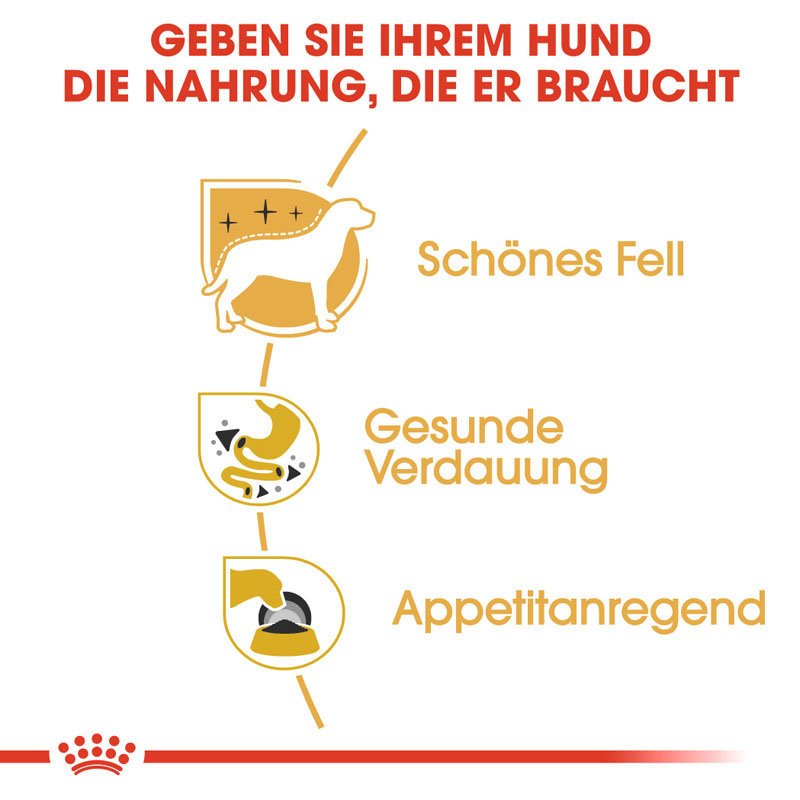 Chihuahua Adult Hundefutter nass Bild 3