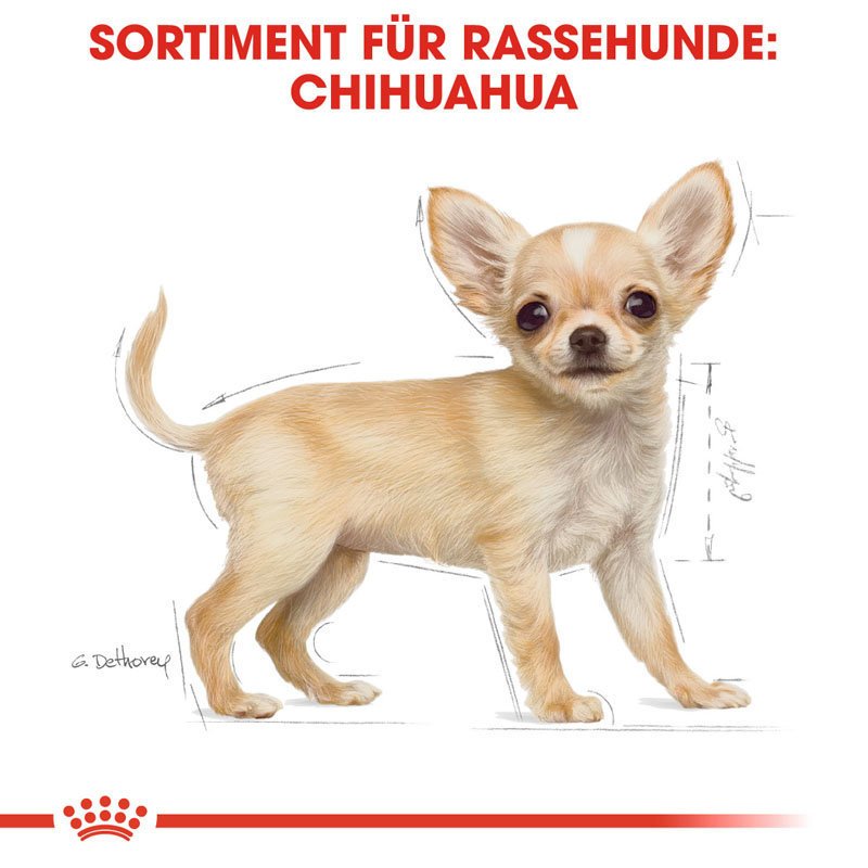 Royal Canin Chihuahua Puppy Welpenfutter trocken Bild 5