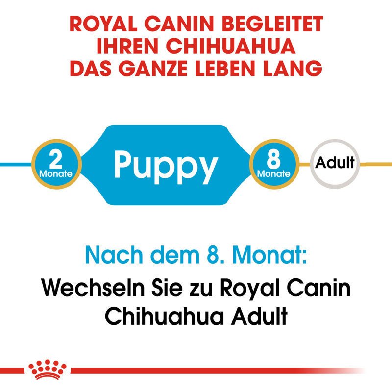 Royal Canin Chihuahua Puppy Welpenfutter trocken Bild 6