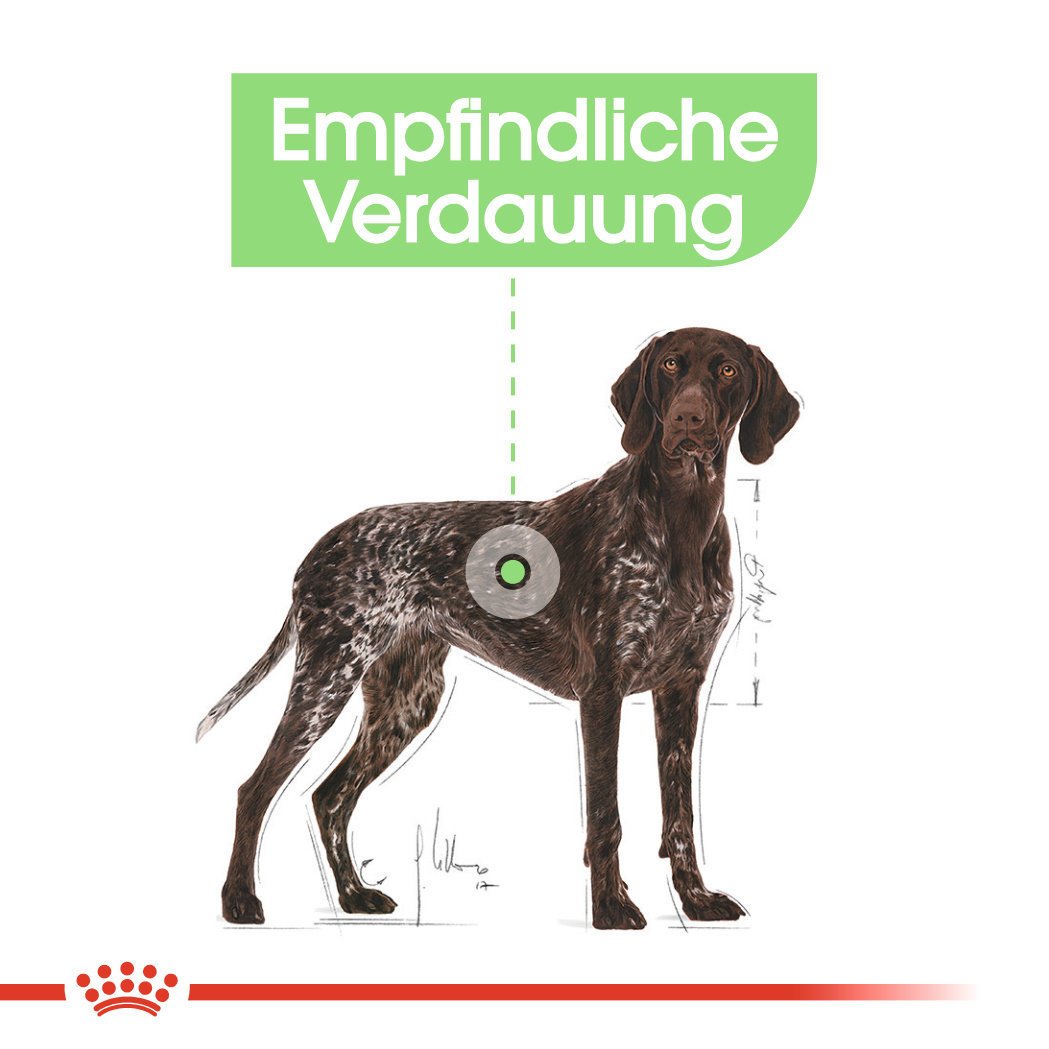 Royal Canin CNN Digestive Care Maxi Trockenfutter Bild 5
