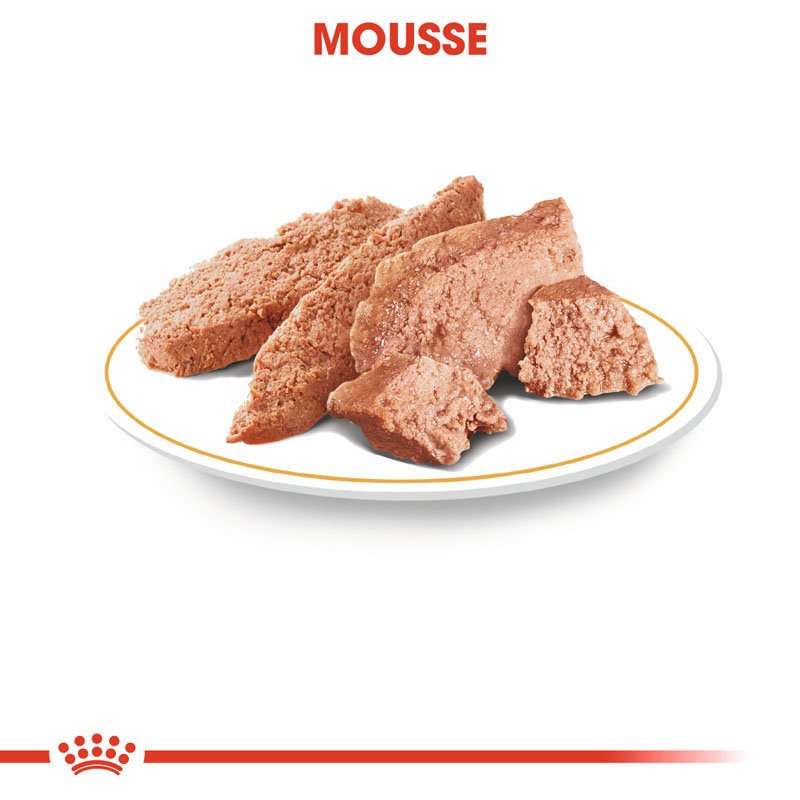 Royal Canin Dachshund Adult Hundefutter nass für Dackel Bild 4
