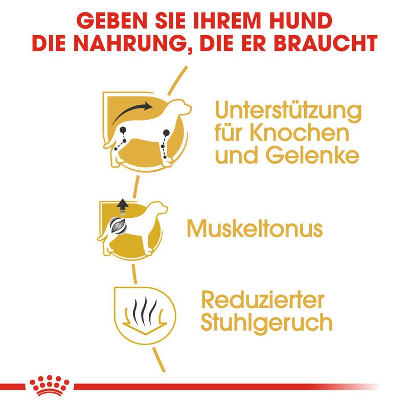 Royal Canin Dachshund Adult Hundefutter trocken für Dackel Bild 3