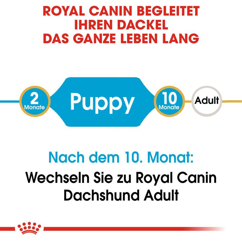 Royal Canin Dachshund Puppy Welpenfutter trocken für Dackel Bild 6