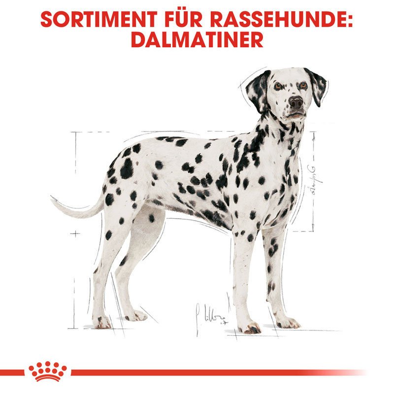 Royal Canin Dalmatian Adult Hundefutter trocken für Dalmatiner Bild 4