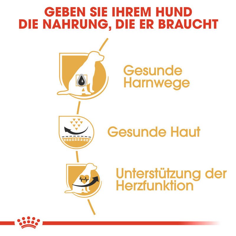 Royal Canin Dalmatian Adult Hundefutter trocken für Dalmatiner Bild 3