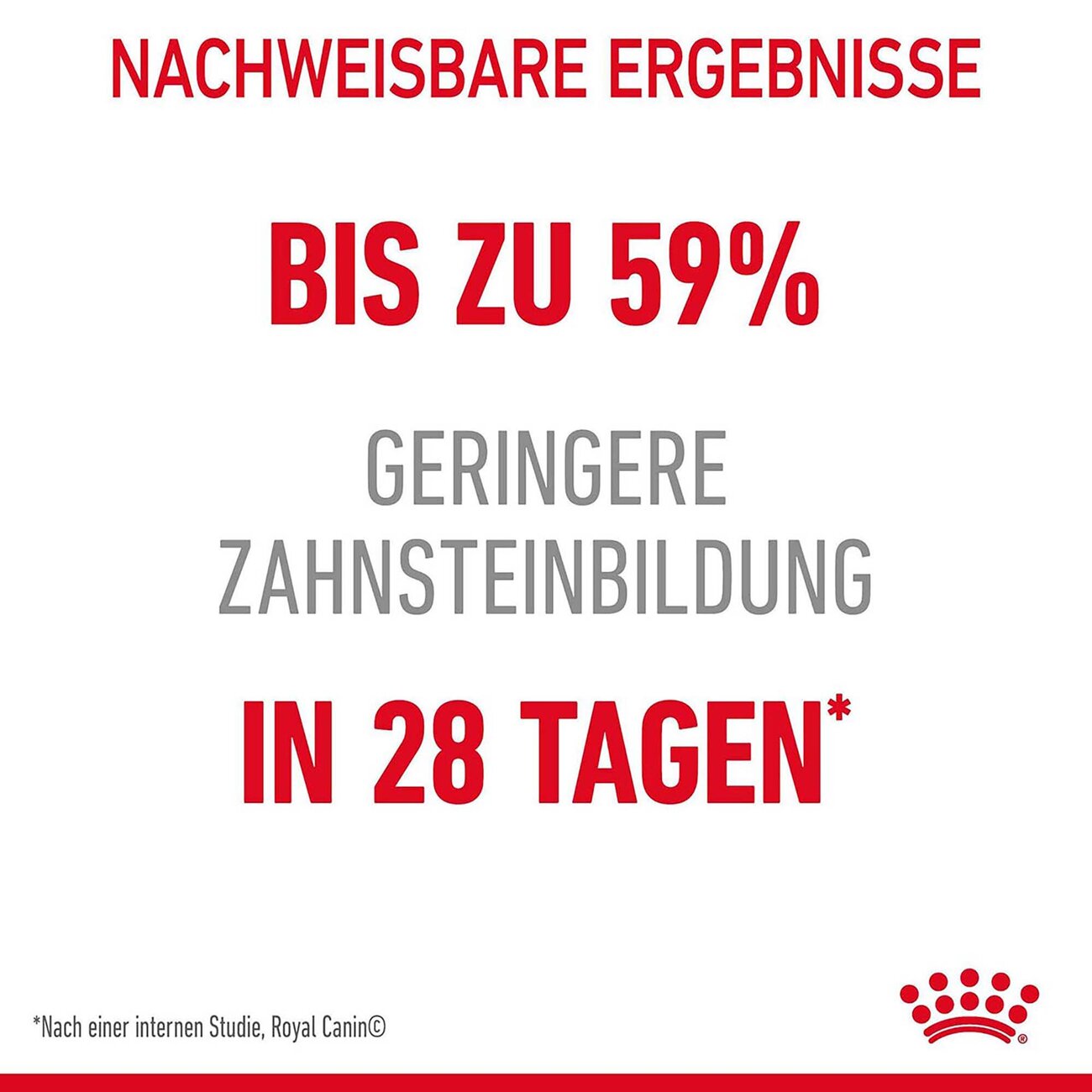 Royal Canin Dental Care Katzenfutter trocken für gesunde Zähne Bild 4