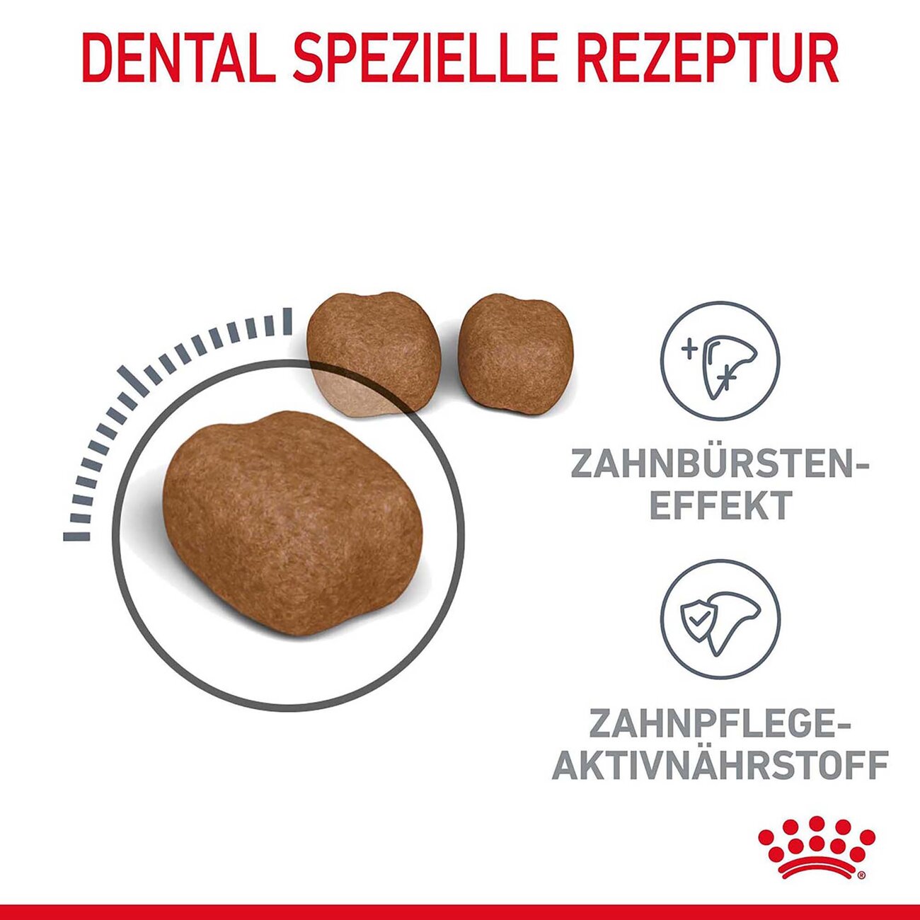 Royal Canin Dental Care Katzenfutter trocken für gesunde Zähne Bild 5