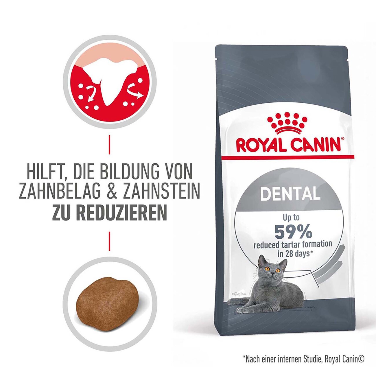 Royal Canin Dental Care Katzenfutter trocken für gesunde Zähne Bild 2