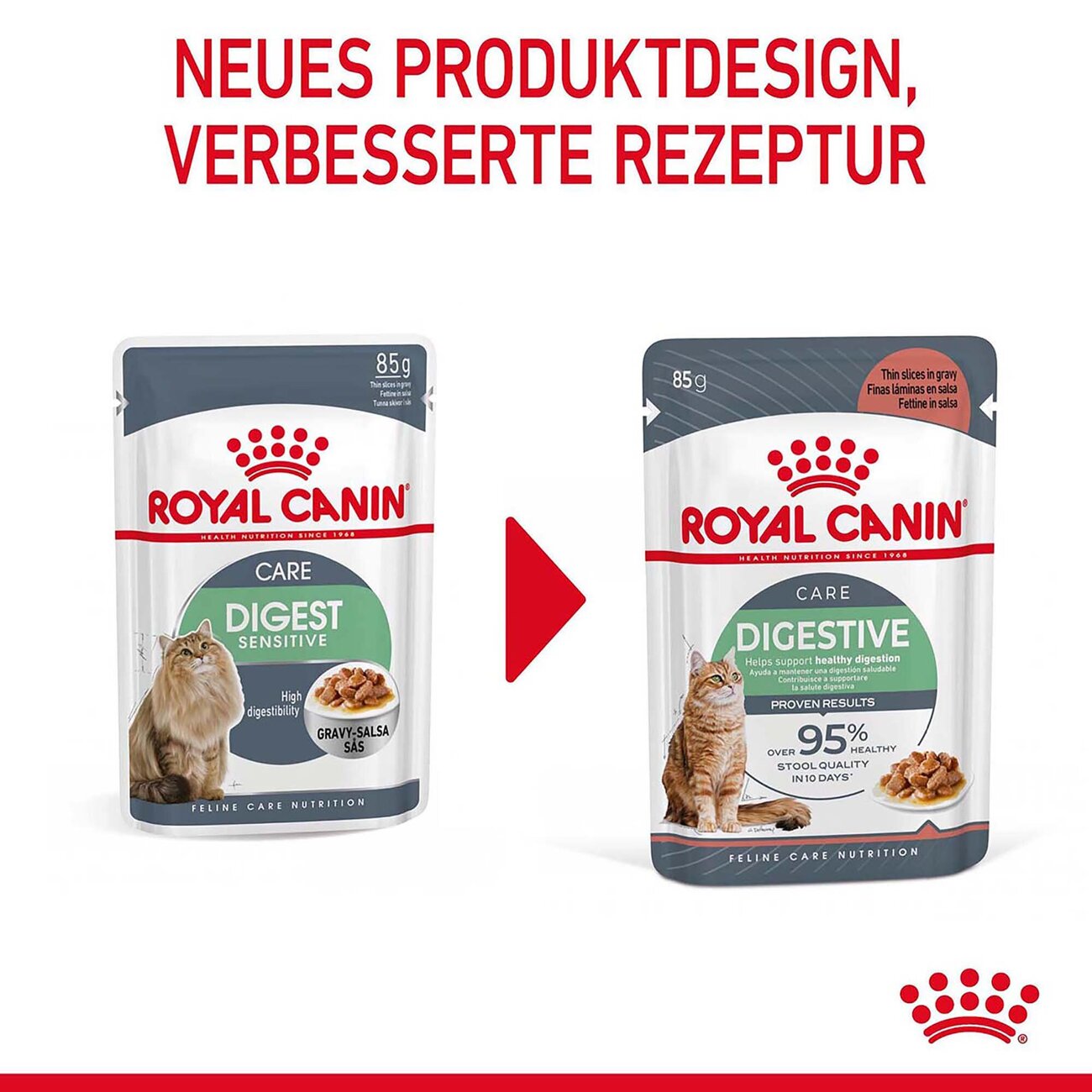 Royal Canin Digestive Nassfutter für Katzen mit empfindlicher Verdauung Bild 2