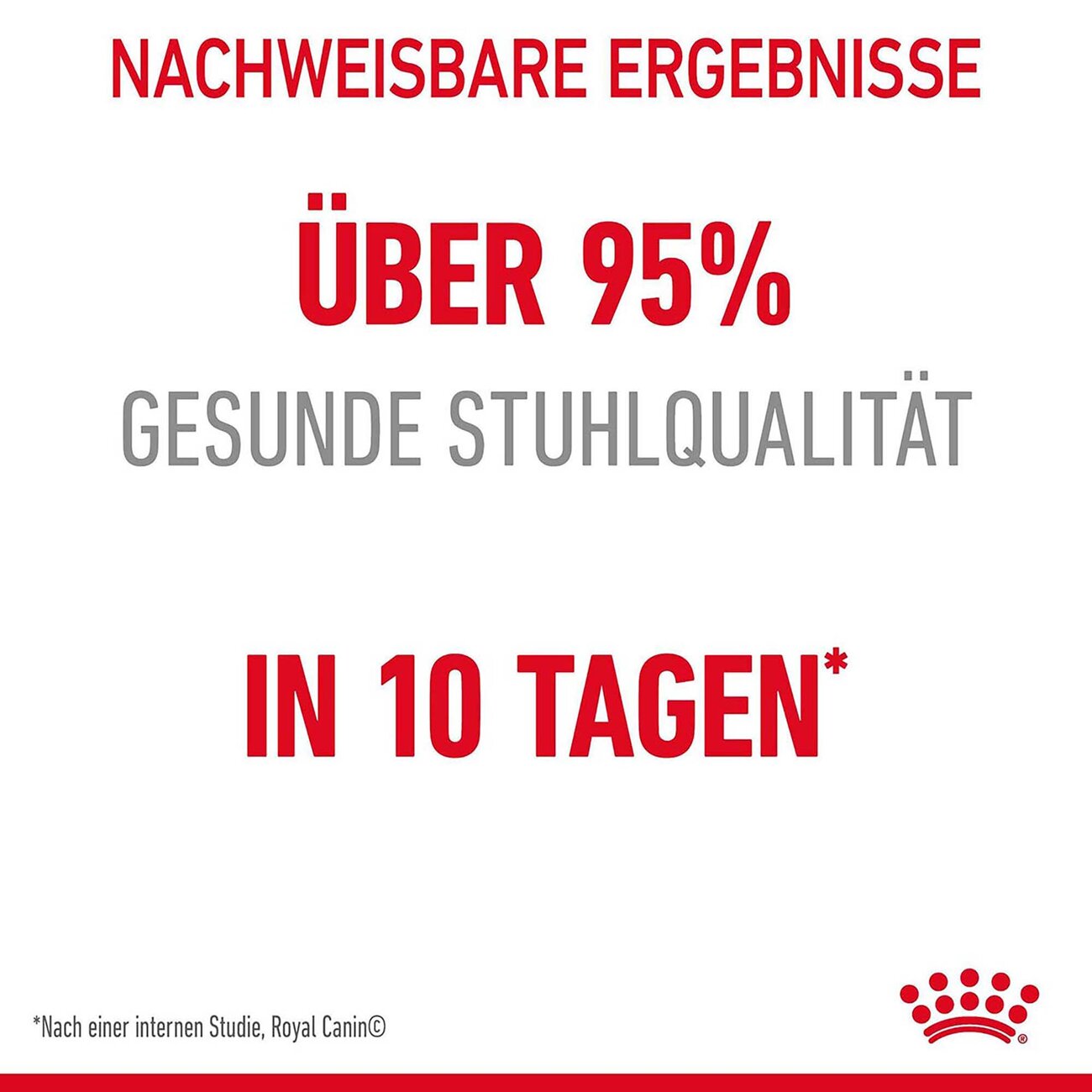 Royal Canin Digestive Care Trockenfutter für Katzen mit empfindlicher Verdauung Bild 9