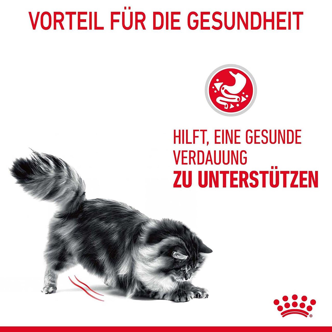 Royal Canin Digestive Care Trockenfutter für Katzen mit empfindlicher Verdauung Bild 2