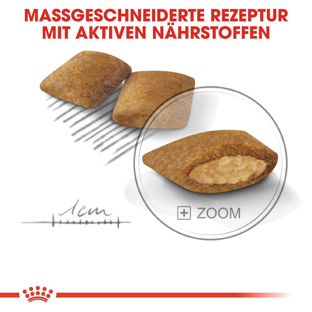Royal Canin Exigent Mini Trockenfutter für wählerische kleine Hunde Bild 5
