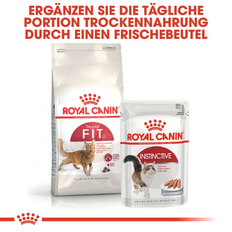 Royal Canin Fit Trockenfutter für aktive Katzen Bild 5