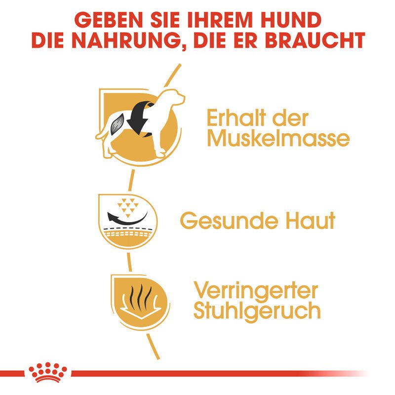 Royal Canin French Bulldog Adult Hundefutter trocken für Französische Bulldoggen Bild 3