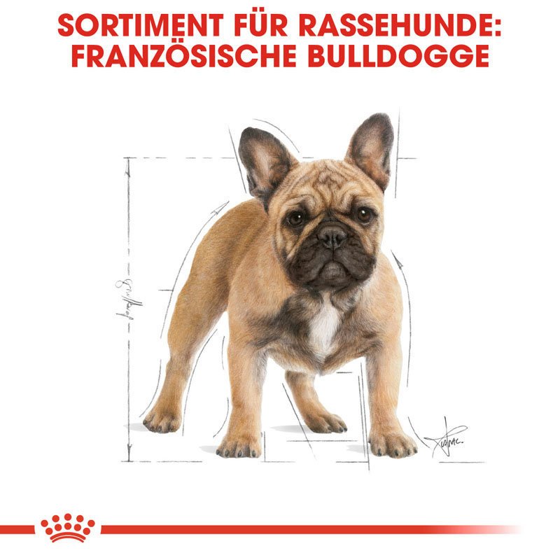 Royal Canin French Bulldog Adult Hundefutter trocken für Französische Bulldoggen Bild 4