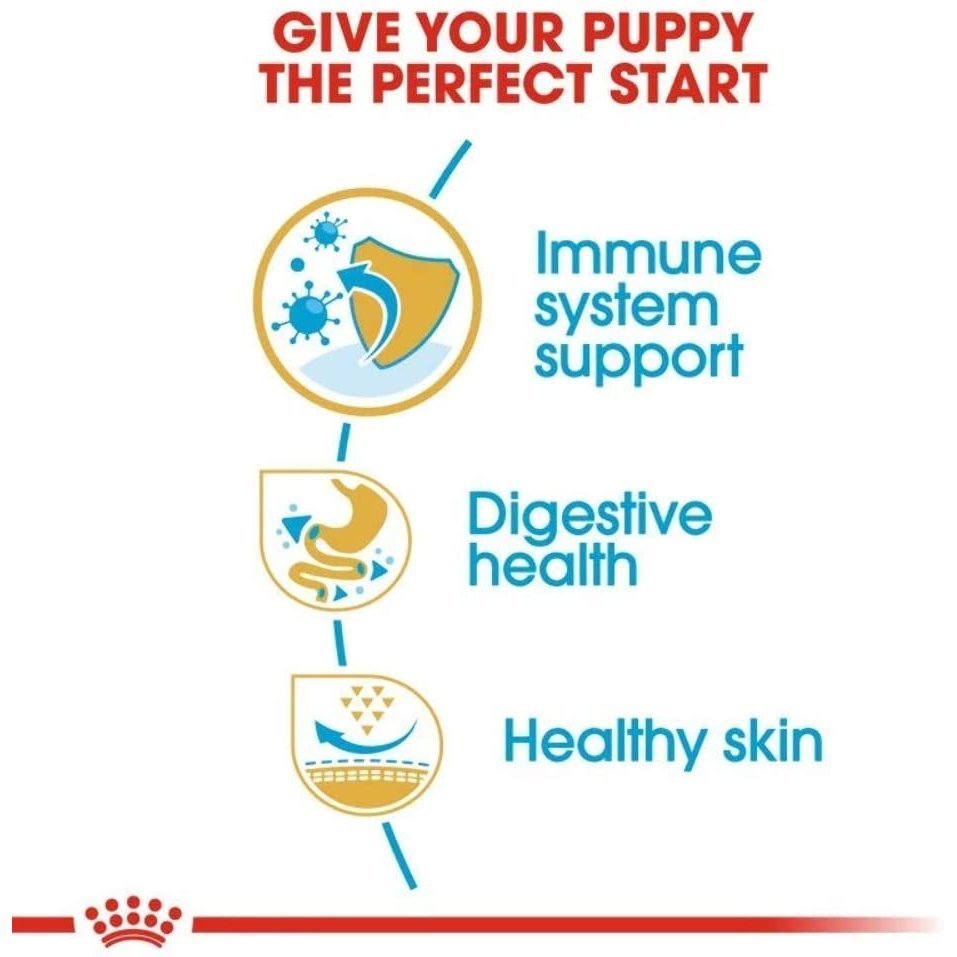 Royal Canin French Bulldog Puppy Bild 3
