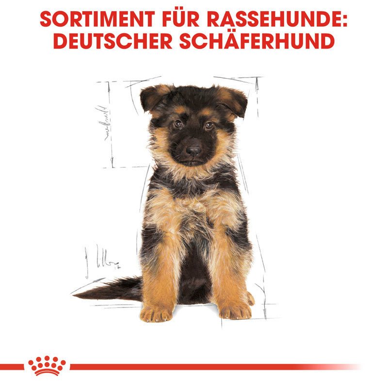 Royal Canin German Shepherd Puppy Welpenfutter trocken für Deutsche Schäferhunde Bild 2