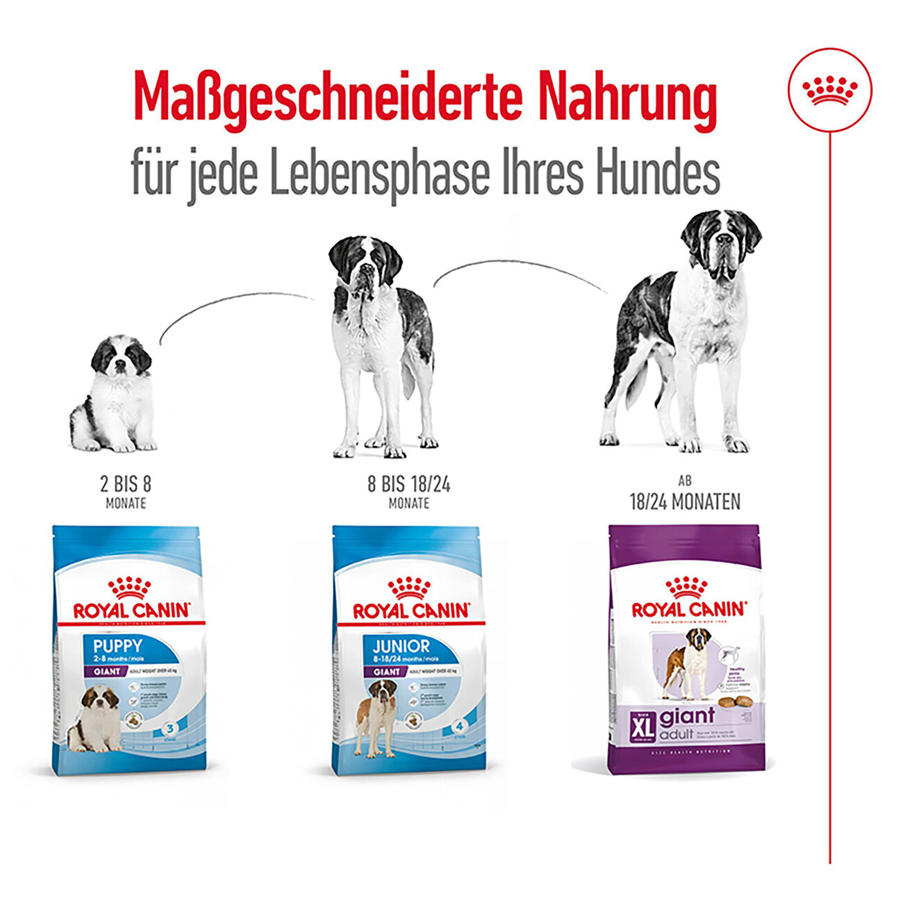 Royal Canin Giant Adult Trockenfutter für sehr große Hunde Bild 4