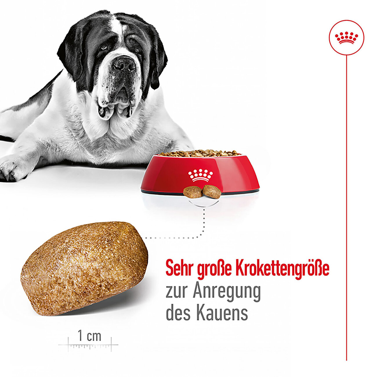 Royal Canin Giant Adult Trockenfutter für sehr große Hunde Bild 6