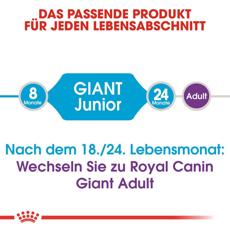 Royal Canin Giant Junior Welpenfutter trocken für sehr große Hunde Bild 5