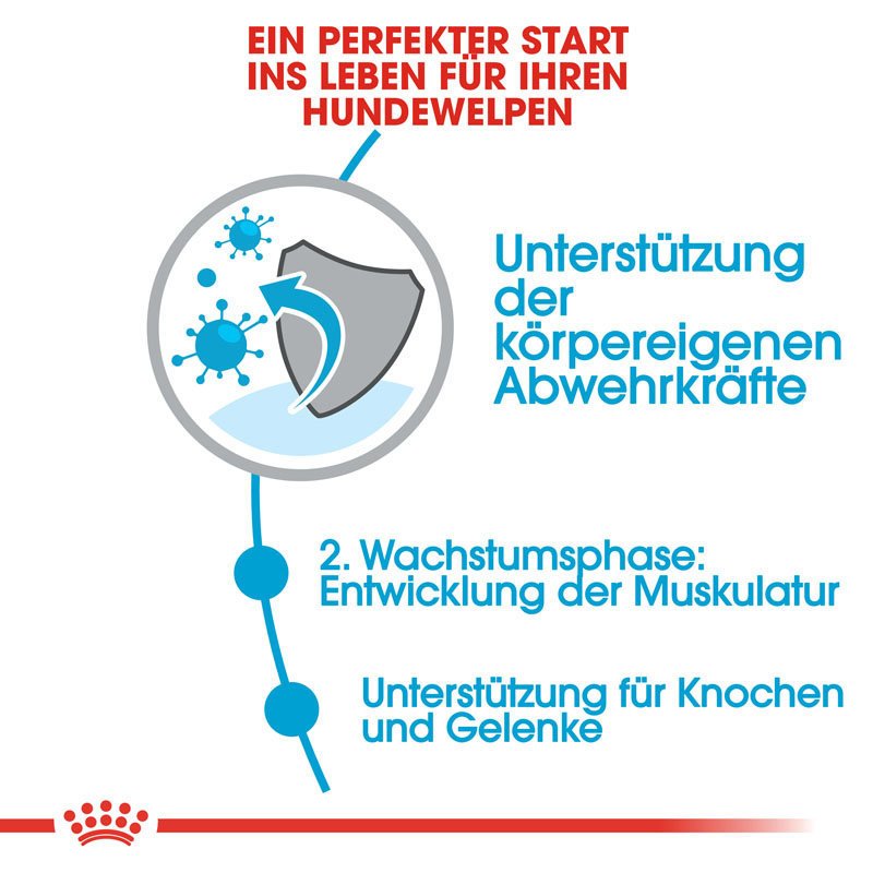 Royal Canin Giant Junior Welpenfutter trocken für sehr große Hunde Bild 3