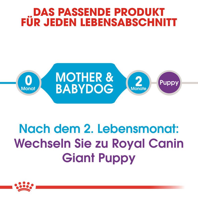 Royal Canin Giant  Starter für tragende Hündin und Welpen Bild 6