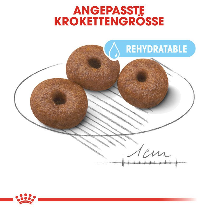 Royal Canin Giant  Starter für tragende Hündin und Welpen Bild 4