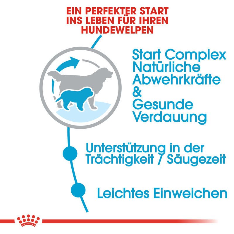 Royal Canin Giant  Starter für tragende Hündin und Welpen Bild 3