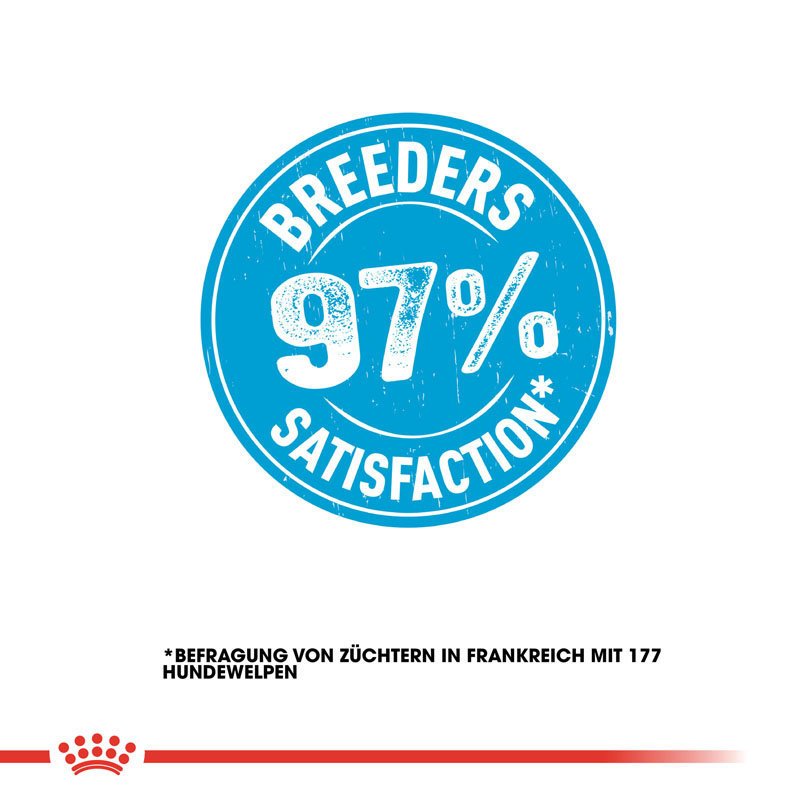 Royal Canin Giant  Starter für tragende Hündin und Welpen Bild 5