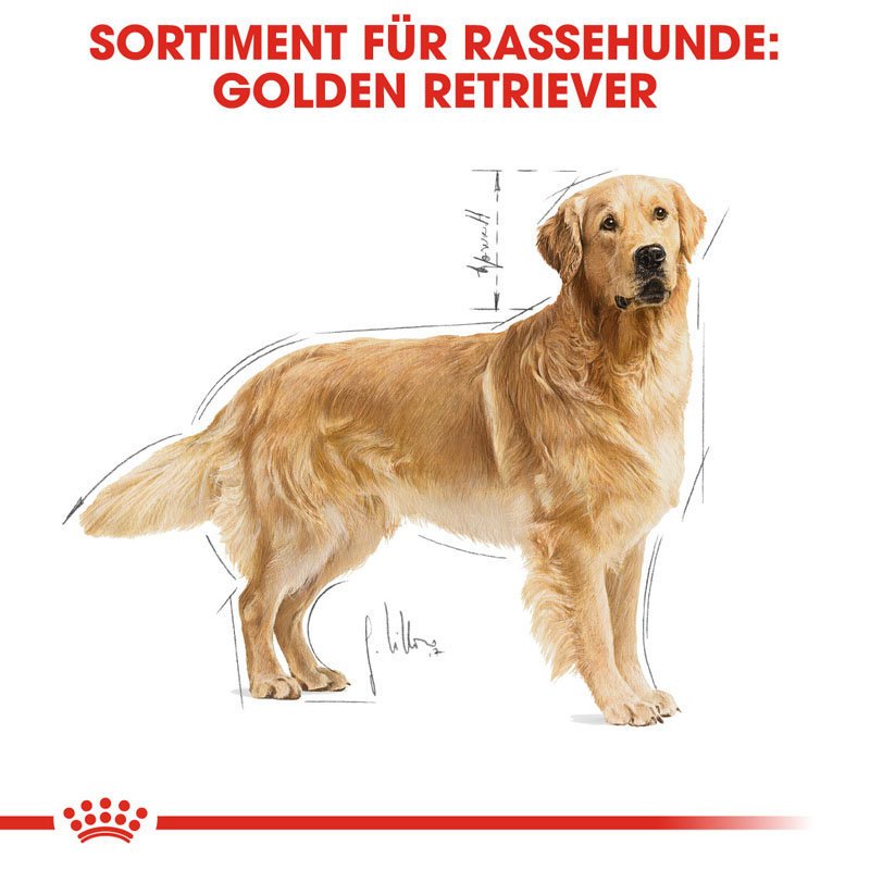 Royal Canin Golden Retriever Adult Hundefutter trocken Bild 5