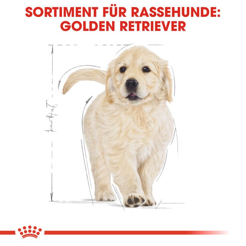 Royal Canin Golden Retriever Puppy Welpenfutter trocken Bild 4
