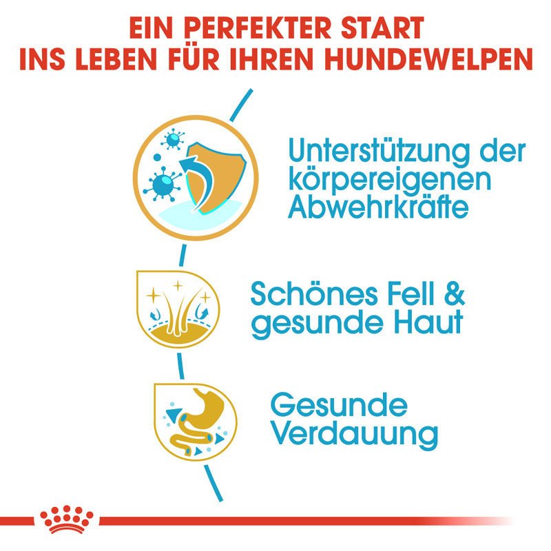 Royal Canin Golden Retriever Puppy Welpenfutter trocken Bild 3