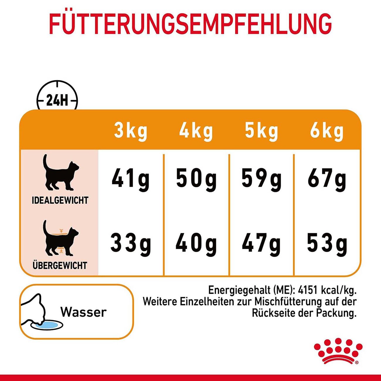 Royal Canin Hair & Skin Care Katzenfutter trocken für gesundes Fell Bild 4