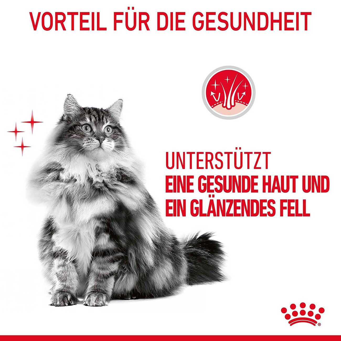 Royal Canin Hair & Skin Care Katzenfutter trocken für gesundes Fell Bild 7