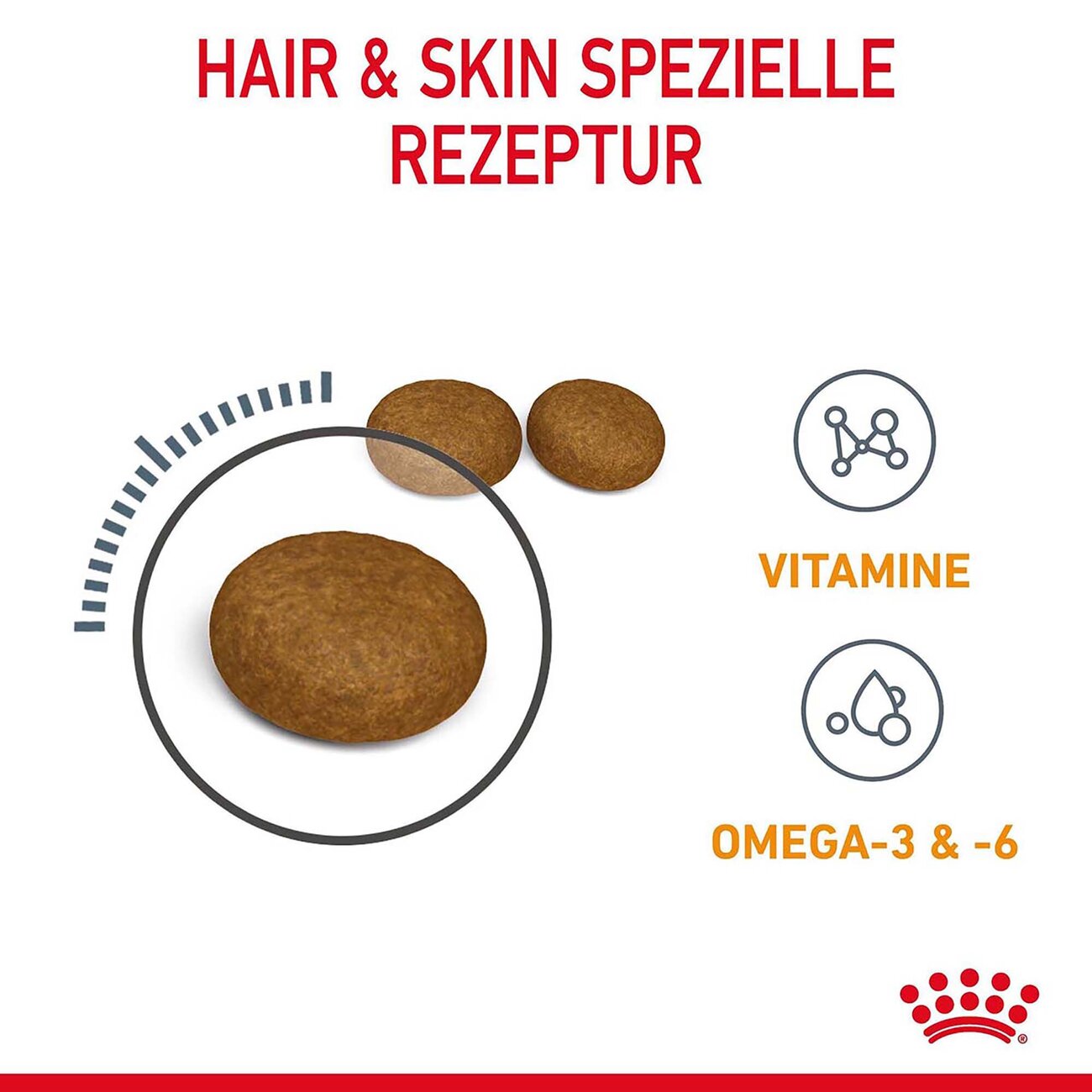 Royal Canin Hair & Skin Care Katzenfutter trocken für gesundes Fell Bild 9
