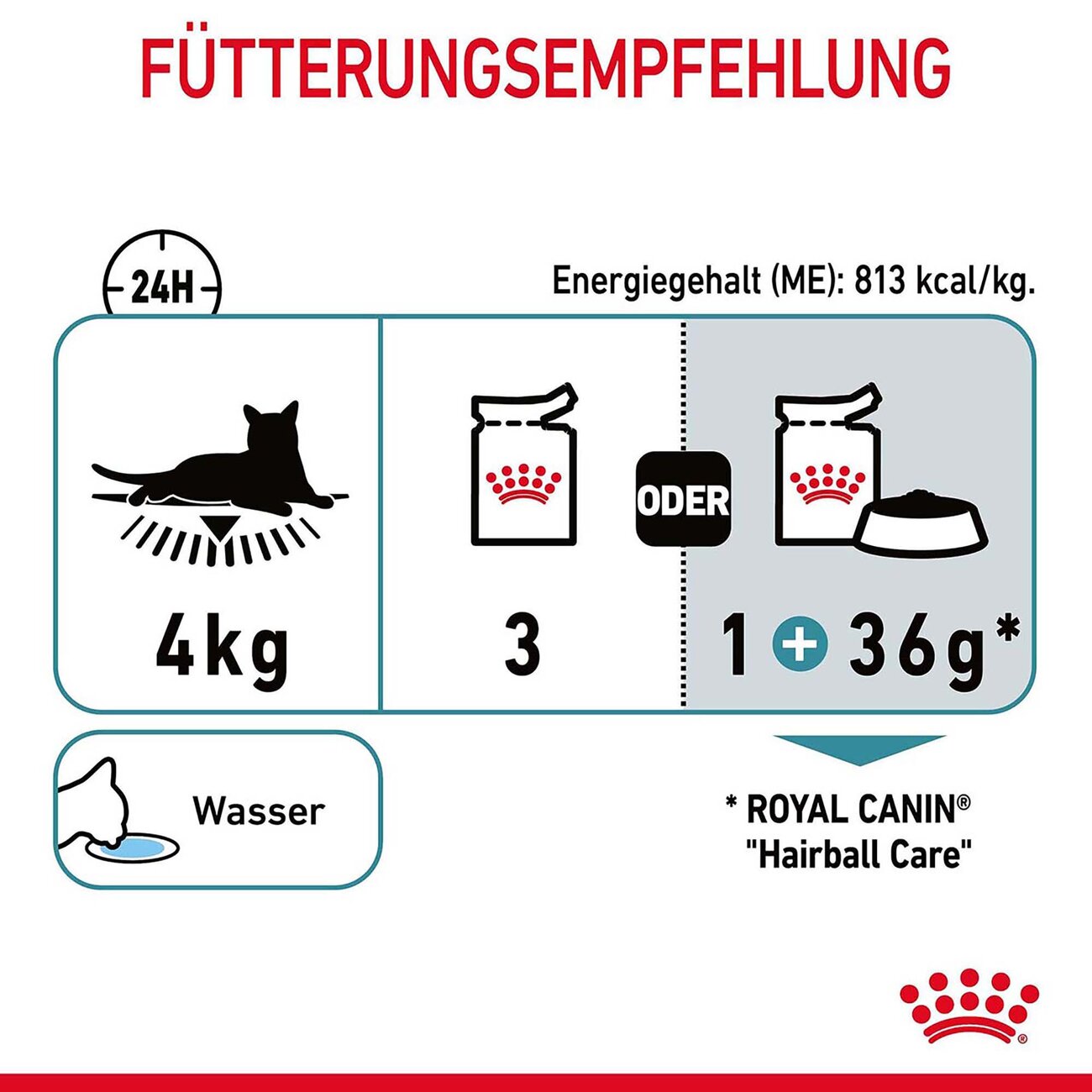 Royal Canin Hairball Care Katzenfutter nass gegen Haarballen Bild 5